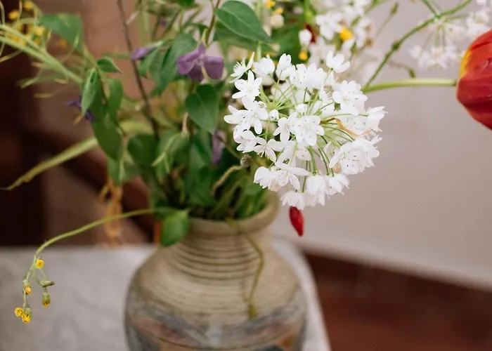 Agriturismo Il Sentiero Degli Ulivi - Irpinia