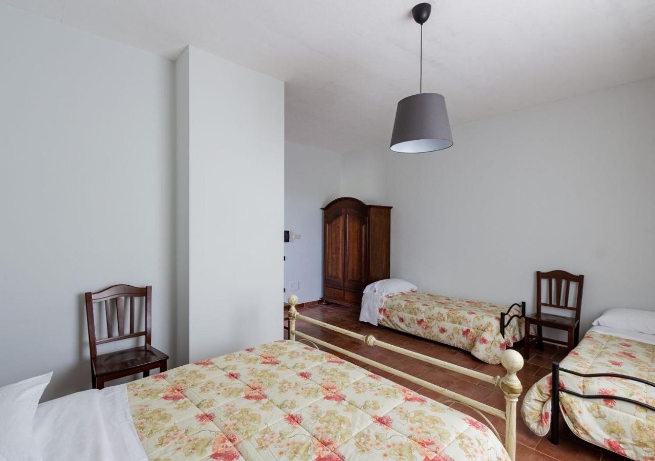 Il Sentiero Degli Ulivi - Irpinia *